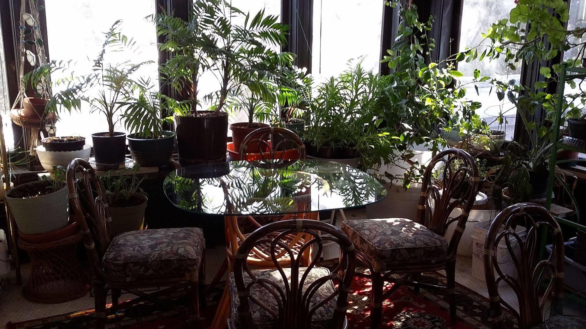 Chestnut Charm Bed & Breakfast Atlantic المظهر الخارجي الصورة